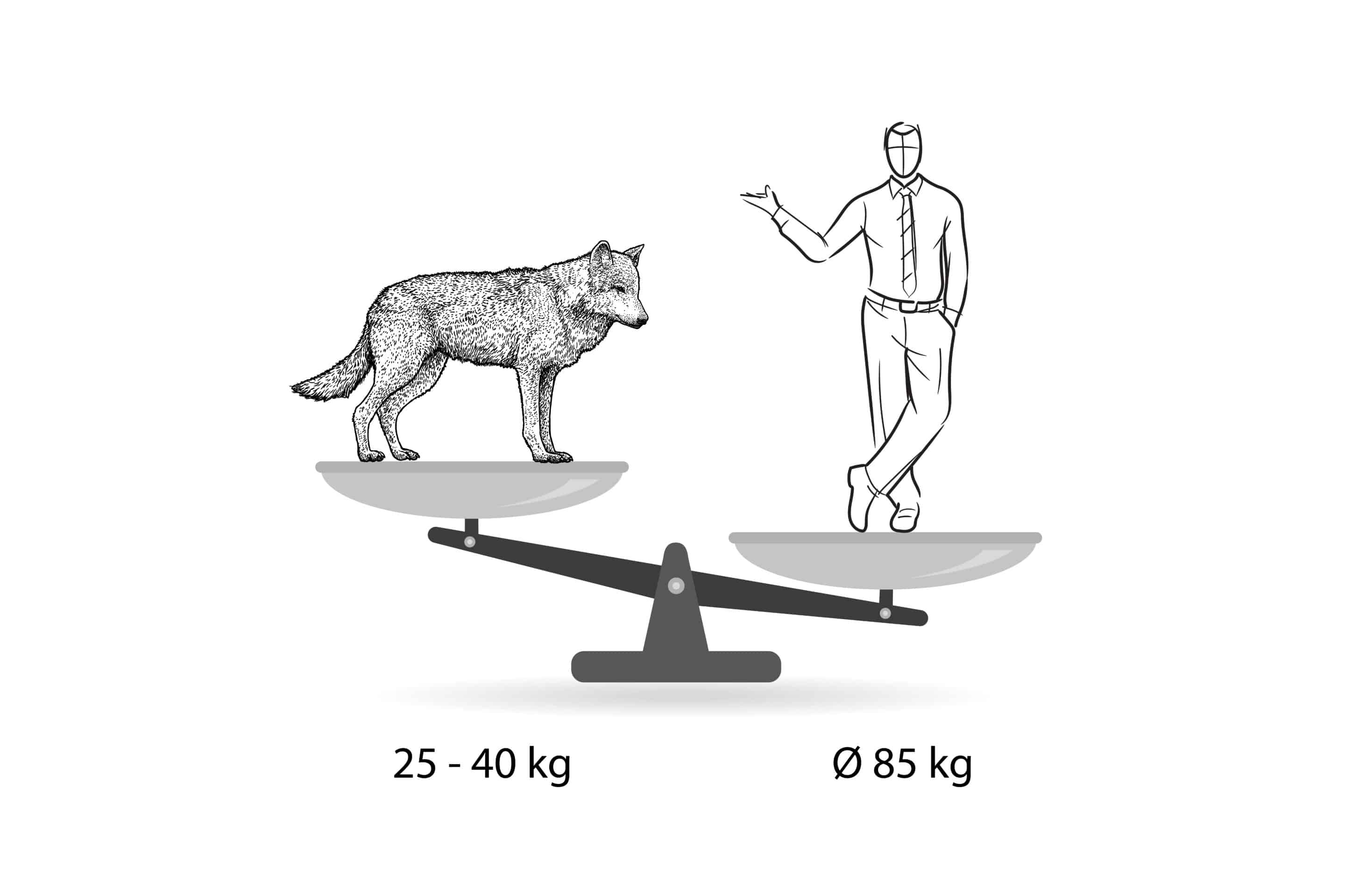 Das Wolf Gewicht