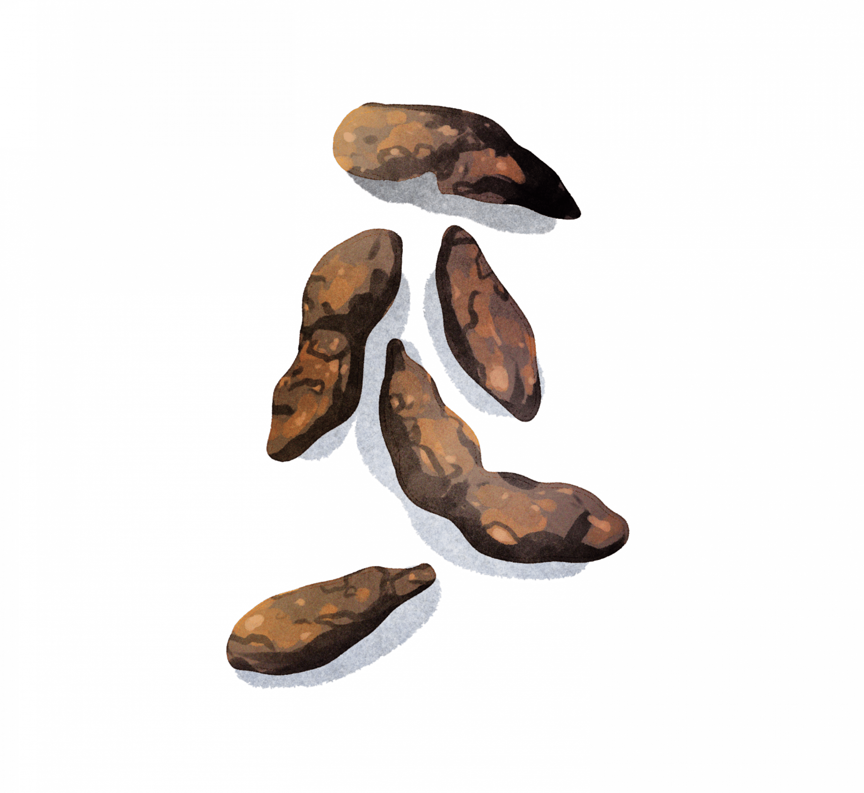 Fledermaus Kot - Wildtiere in Deutschland