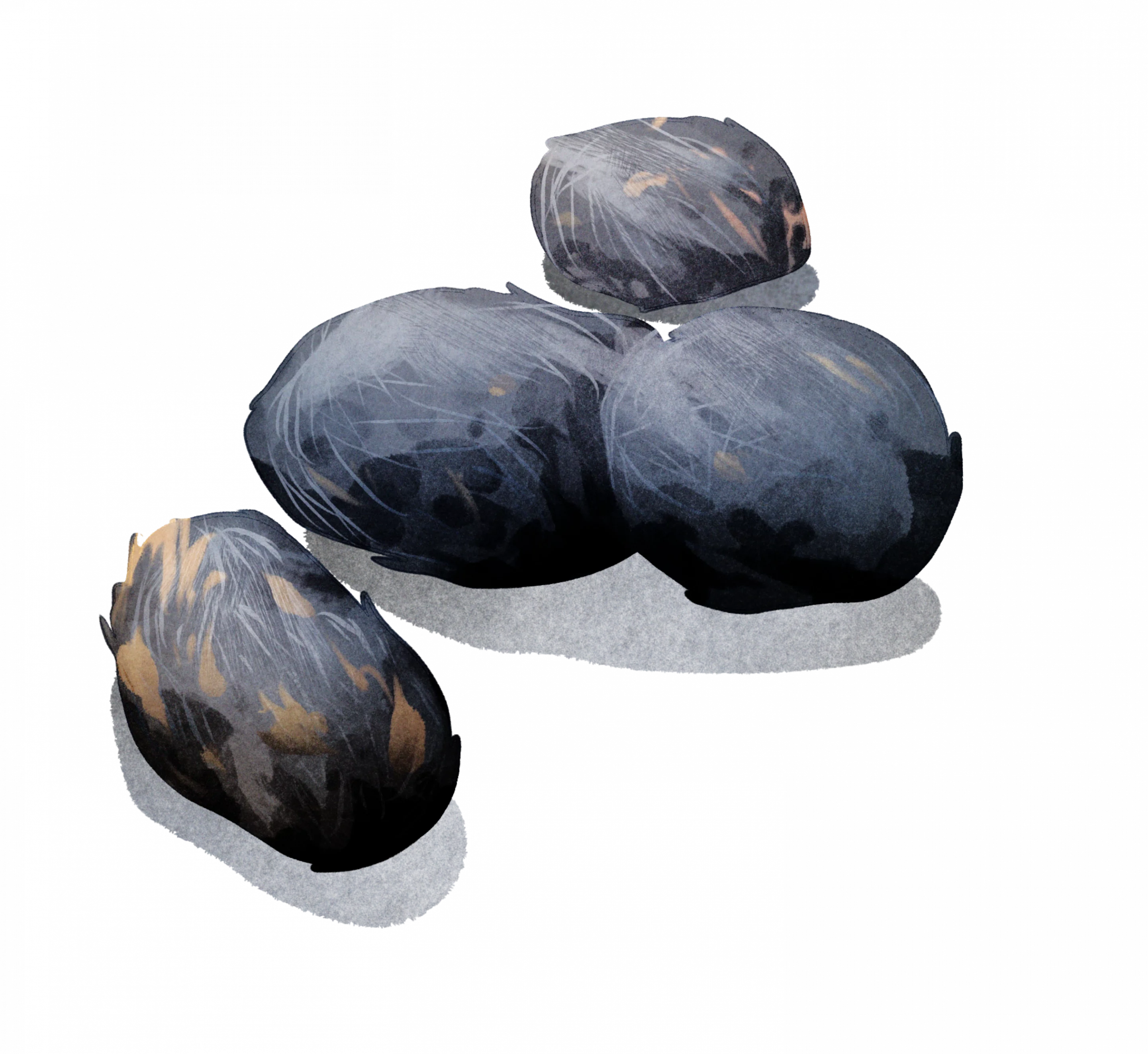 Luchs Losung - Wildtiere in Deutschland