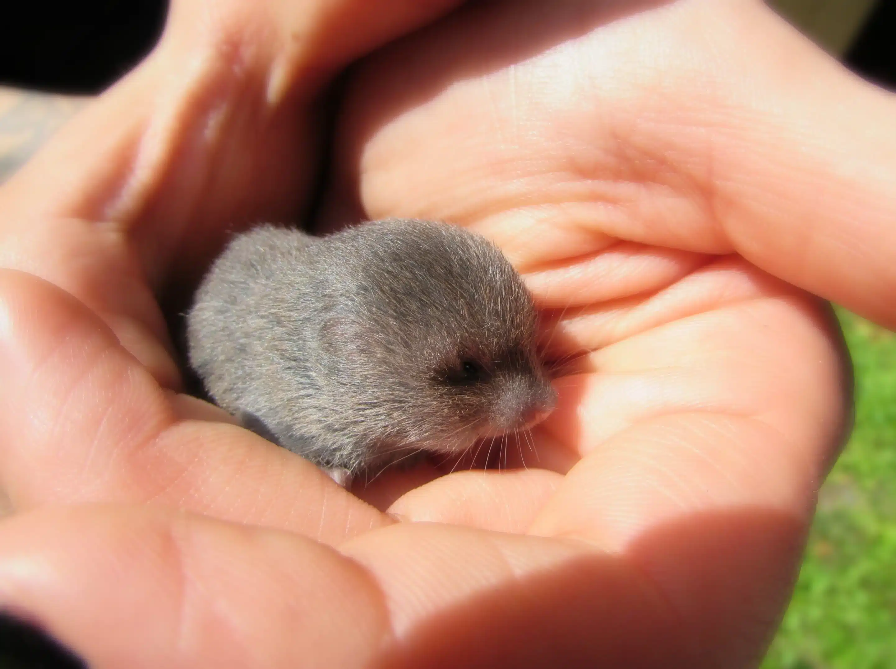 Ескі гимнаст порно