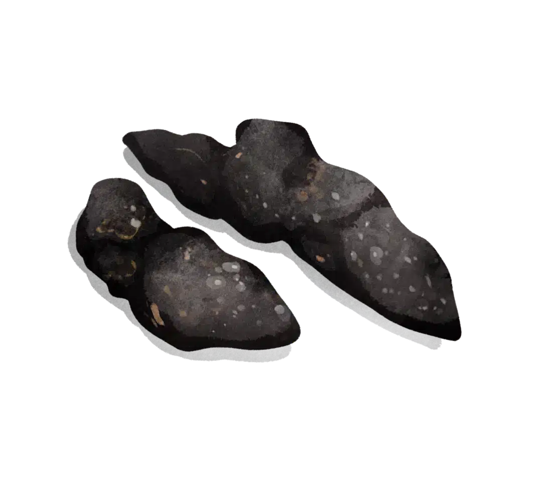 Igel Losung Illustration