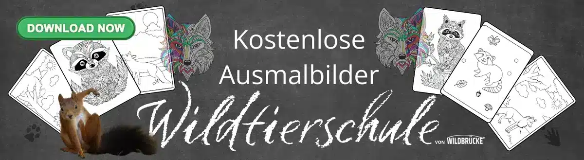 In der Wildtierschule von Wildbrücke gibt es kostenlose Downloads, Steckbriefe, Arbeitsblätter, Unterrichtsmaterial und Ausmalbilder