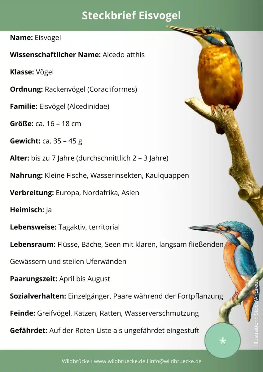 Әйелдердің бөксесі және секс