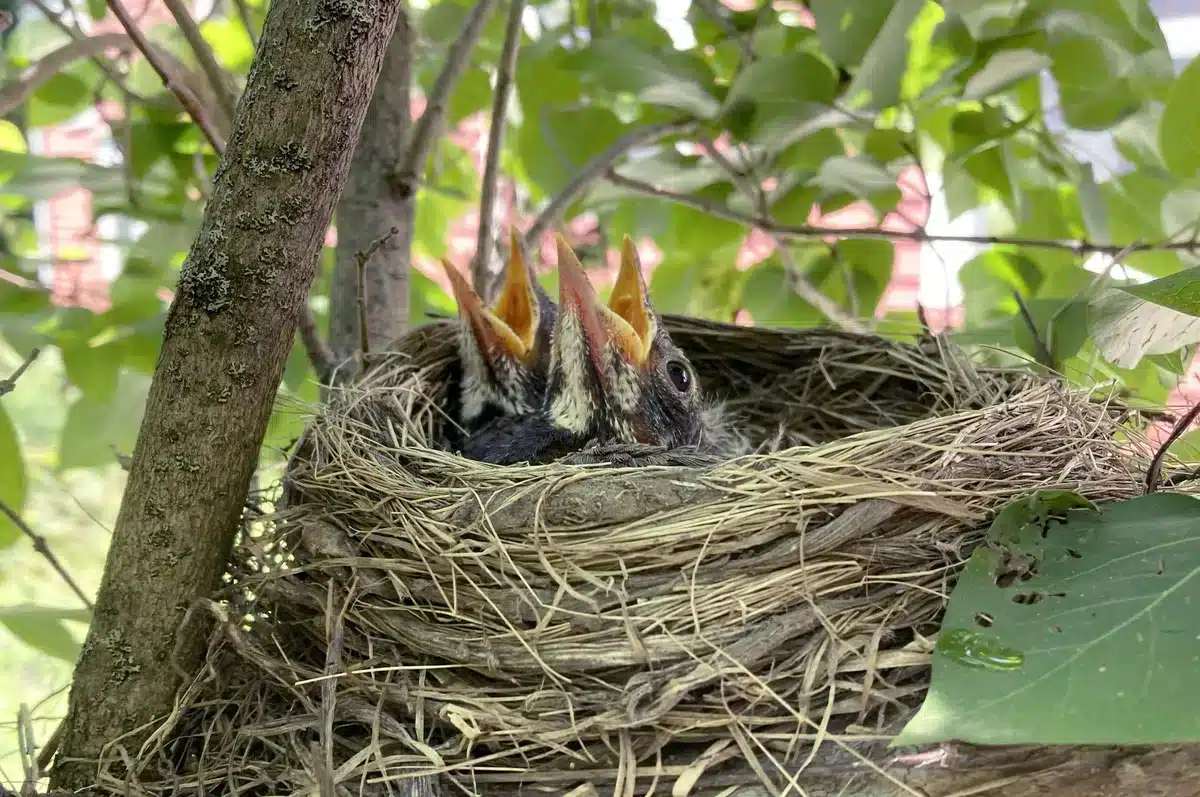 Смотреть қара шілтер порно онлайн без регистрации