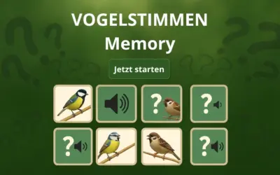 Vogelstimmen-Memory: Wer singt denn da?