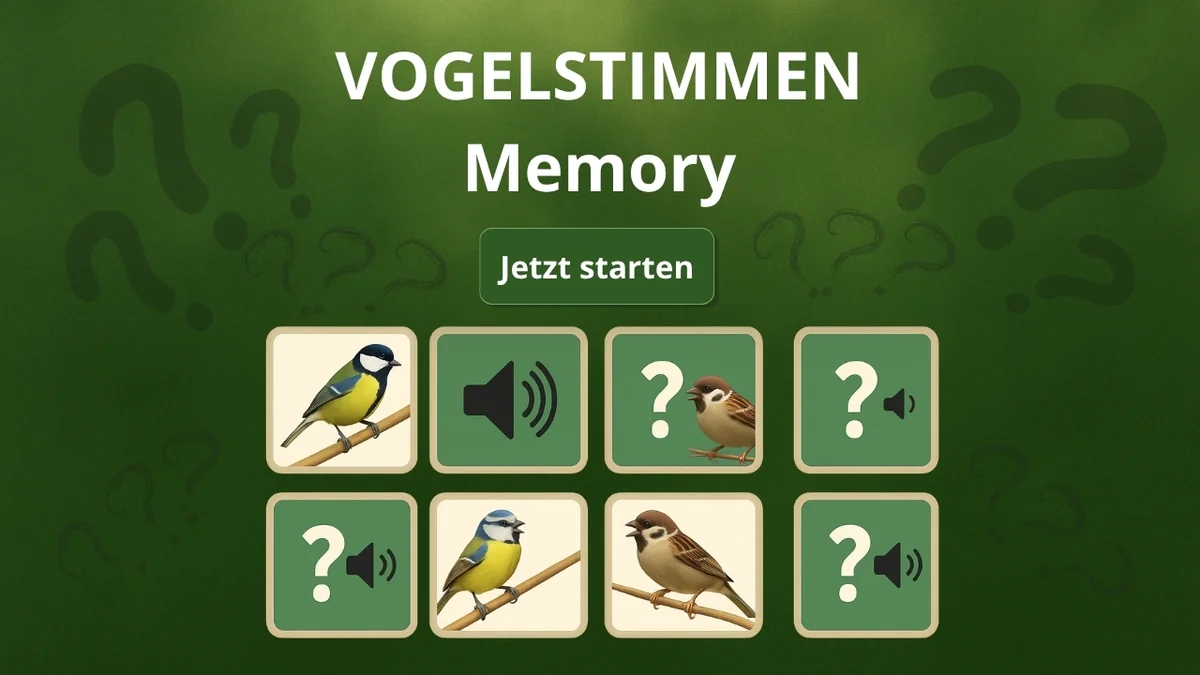 Beitragsbild Vogelstimmen-Memory Haussperling, Feldsperling, Blaumeise udn Kohlmeise - Vögel in Europa