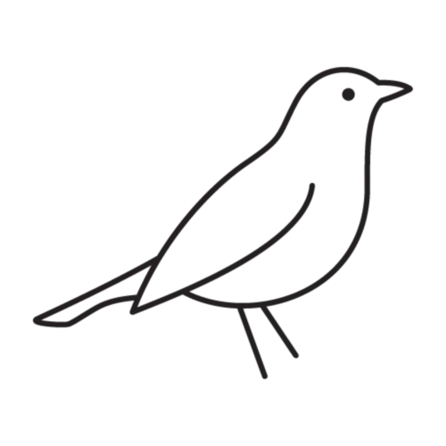 Wie eine Amsel