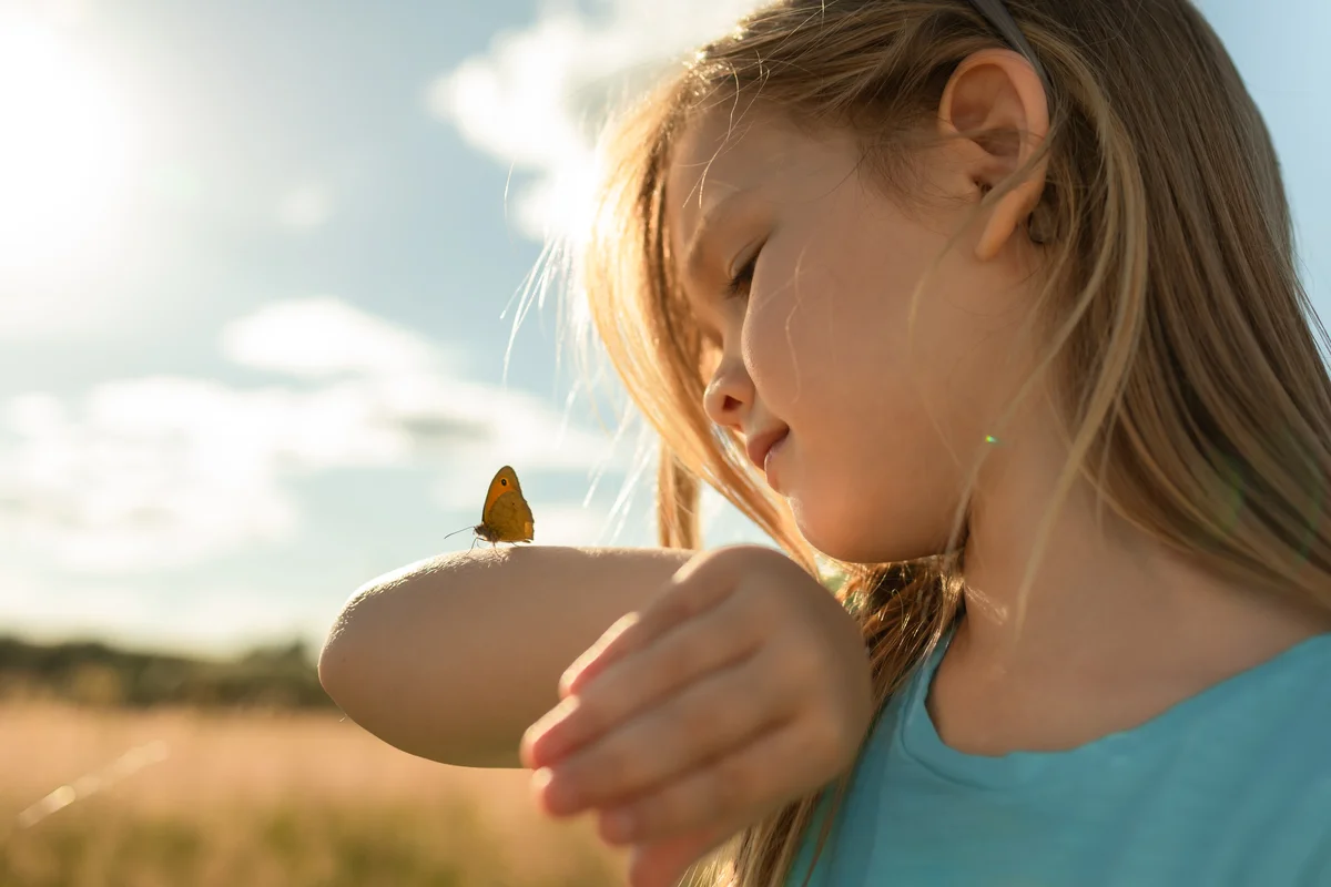 Schmetterlinge – Schmetterlinge in Europa