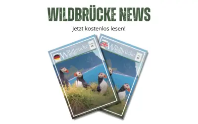 🌿 Wildbrücke News #5 – Highlights zu Wildtieren in Europa