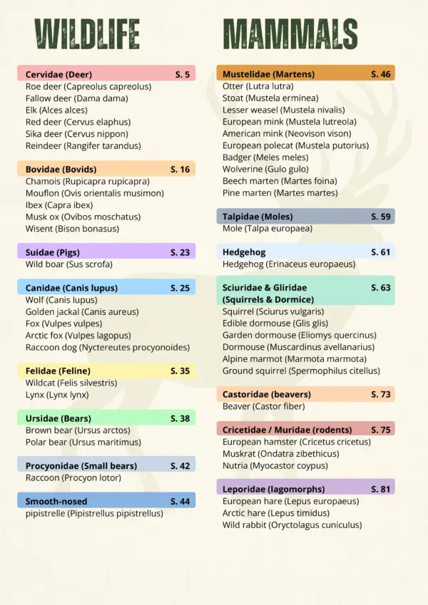 Fact-Sheet Super-Bundle EN-002