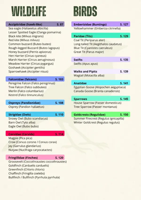 Fact-Sheet Super-Bundle EN-003