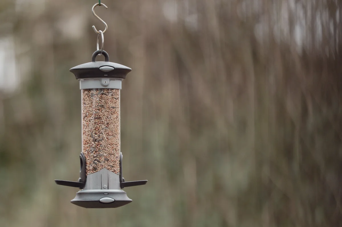 Silo pro krmítka pro ptáky - Ptáci v Evropě Silo pro krmítka pro ptáky - Ptáci v Evropě