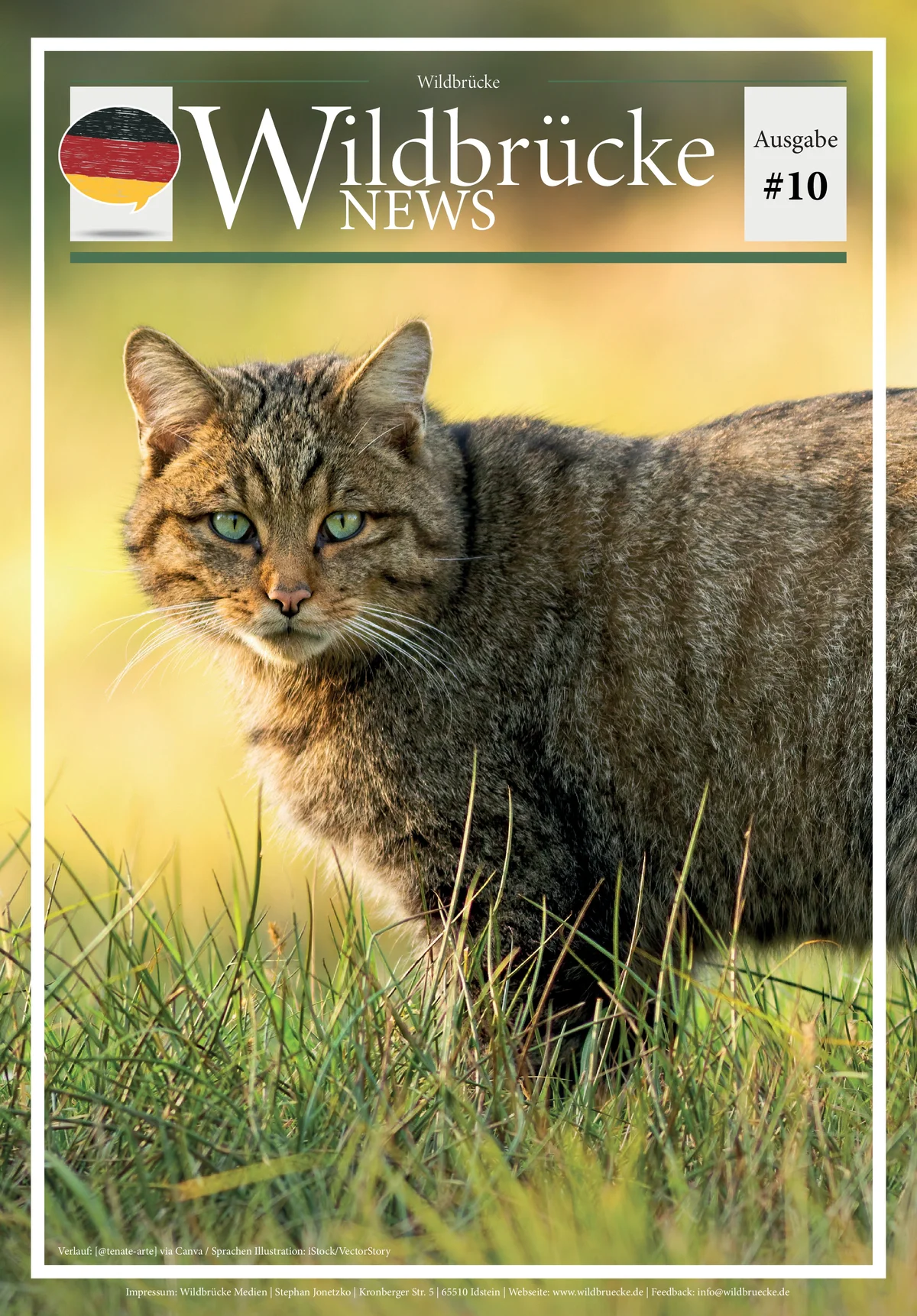 Wildbrücke News #10 - 2025 - DE - Wildtiere in Europa