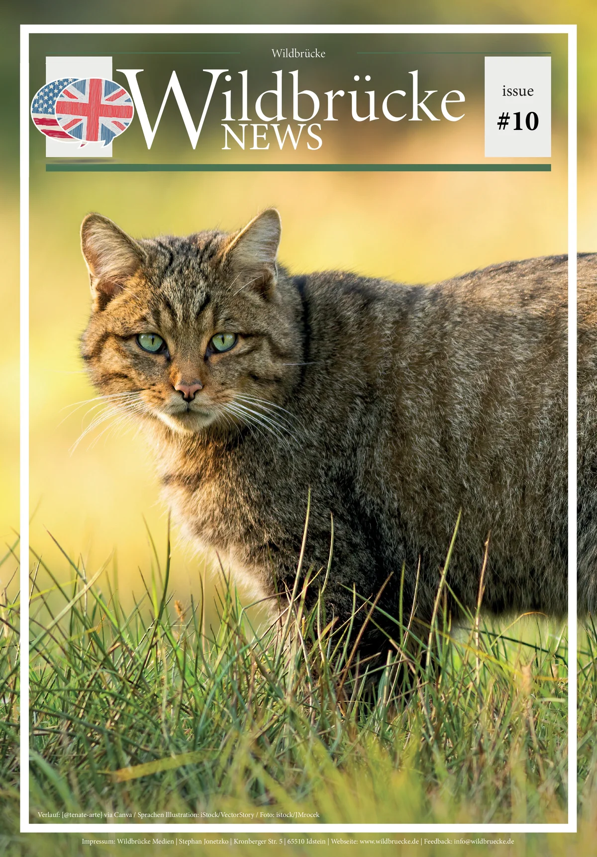 Wildbrücke News #10 - 2025 - EN - Wildtiere in Europa